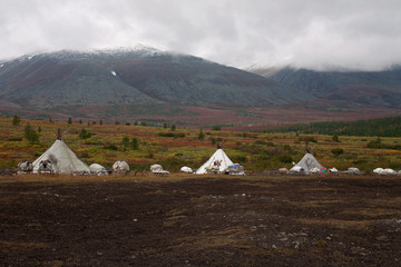 Herders' camp in the mountains of the Polar Urals. Russia. © olenyok