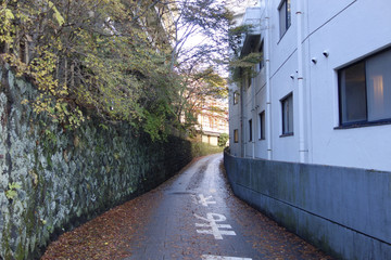 伊香保・温泉街の通り