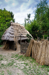 Fototapeta na wymiar medieval hut