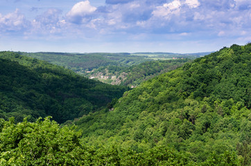 Fototapeta na wymiar National park Podyji, Czech republic