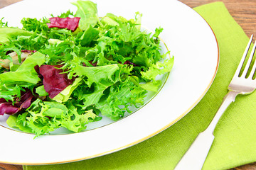 Salad Mix  Batavian, Frise, Radicchio, Chicory