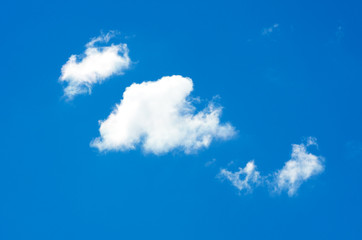Fototapeta na wymiar cloud in the blue sky