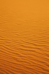 Fototapeta na wymiar the brown sand orange morocco desert
