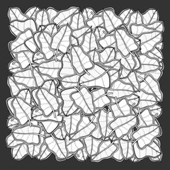 square frame of leaves