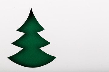 Tree.