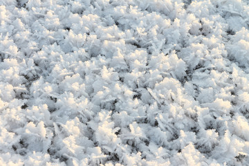 Natural snow background on an ice surface of the frozen river