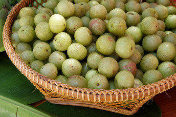 Indian gooseberry fruits are high in vitamin C and medicinal value.