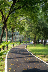 Fototapeta na wymiar Pathway through a Beautiful Public Park in sunny day