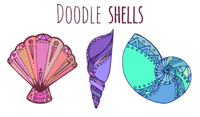 Set of colorful Doodle illustration of seashell 
