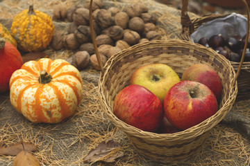 ecologic apples in a  wicker basket and other autumn goods