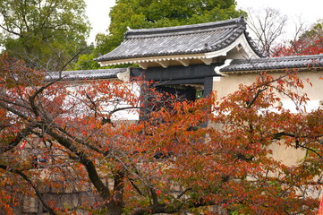 桜門と紅葉
