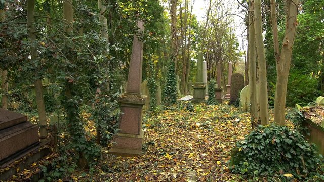 Panning view of tombstones in a cemetery in a dark autumn afternoon with dead leaves