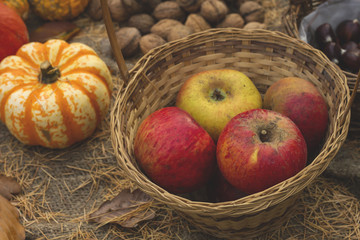 ecologic apples in a  wicker basket