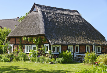Fototapeta na wymiar Traditionelles Reetdachhaus