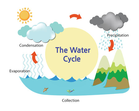 A picture describing the water cycle
