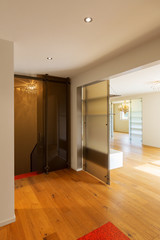 Modern house, entrance with partition