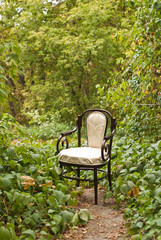 vintage chair in the autumn park 