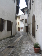 Street in Venzone 