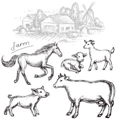 hand drawn set animals farm