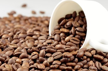 Coffee Bean.
