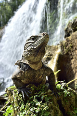 Iguana in the forest beside a water fall.