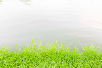Obraz premium Green grass at riverside