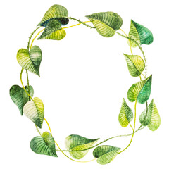 Green leaves watercolor wreath