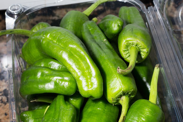padron peppers, typical food of Spain
