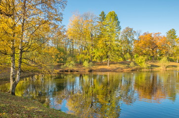 Fototapeta na wymiar Autumn water landscape with bright colorful yellow leaves in Saint-Petersburg region, Russia.