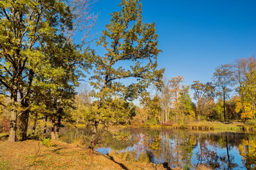 Autumn water landscape with bright colorful yellow leaves in Saint-Petersburg region, Russia.