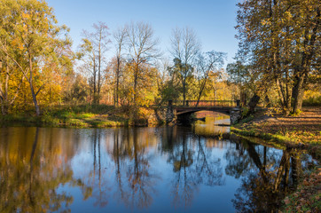 Obraz premium Autumn water landscape with bright colorful yellow leaves in Saint-Petersburg region, Russia.