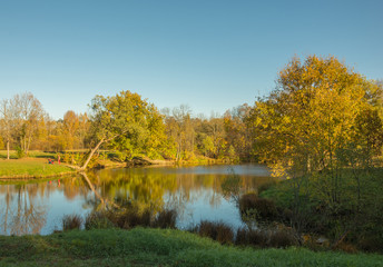 Fototapeta premium Autumn water landscape with bright colorful yellow leaves in Saint-Petersburg region, Russia.