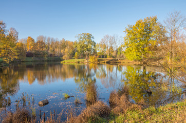 Autumn water landscape with bright colorful yellow leaves in Saint-Petersburg region, Russia.