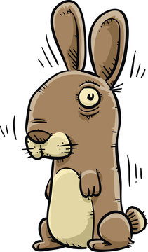 A cute, cartoon bunny rabbit shivering.