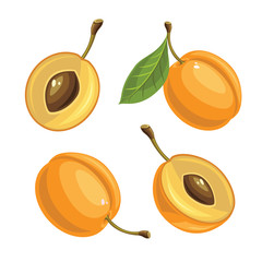 Ripe apricot and apricot slices on a white background.