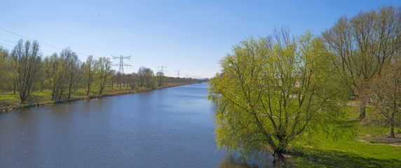 Sunny shores of a canal in spring 