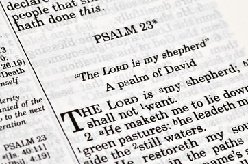 Bible.