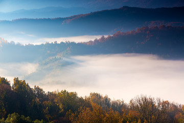 autumn scenery up early with fog in Zagorochoria, Epirus Greece