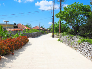 Fototapeta premium 竹富島