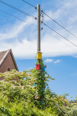 Obraz premium Bunte Vogelhäuser an Strommast