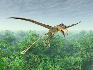 Flugsaurier Peteinosaurus