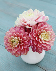Pink dahlias in white jug on old blue wooden background