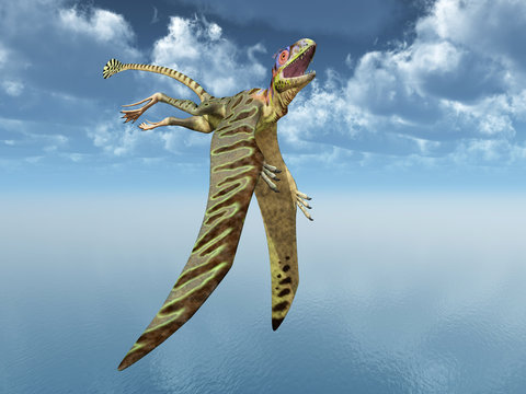 Pterosaur Peteinosaurus
