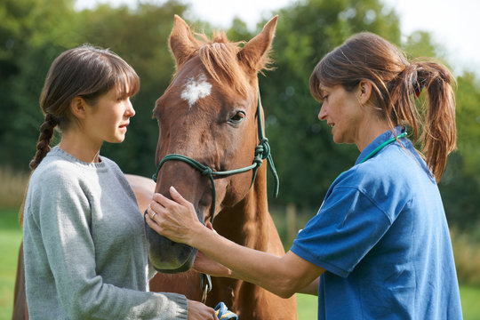 Female Vet Examining Horse In Field With Owner