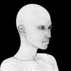 Conceptual 3D wireframe human female or woman face or head