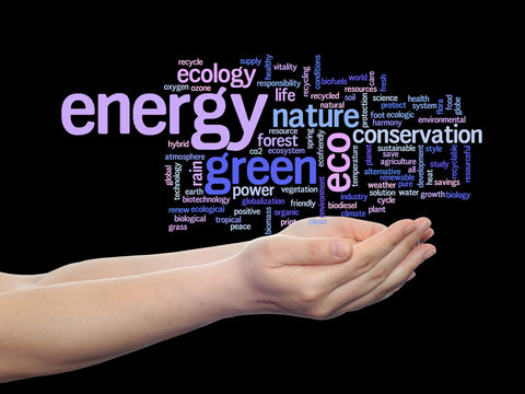 Conceptual ecology word cloud isolated