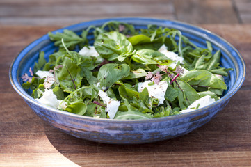 Salad with mozzarella  and basil
