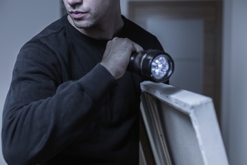 Theft of valuable picture