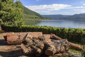 Lago di Vico: tronchi tagliati