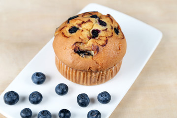 Blueberries muffin on wooden background
